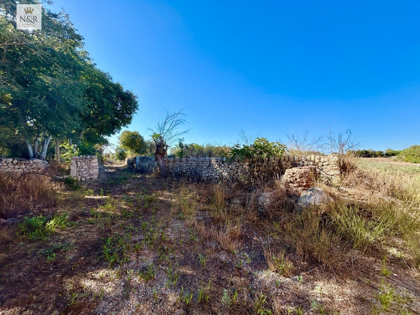 FINCA RÚSTICA CON ENCANTADORA CASA DE PIEDRA EN LLUBÍ - foto 2