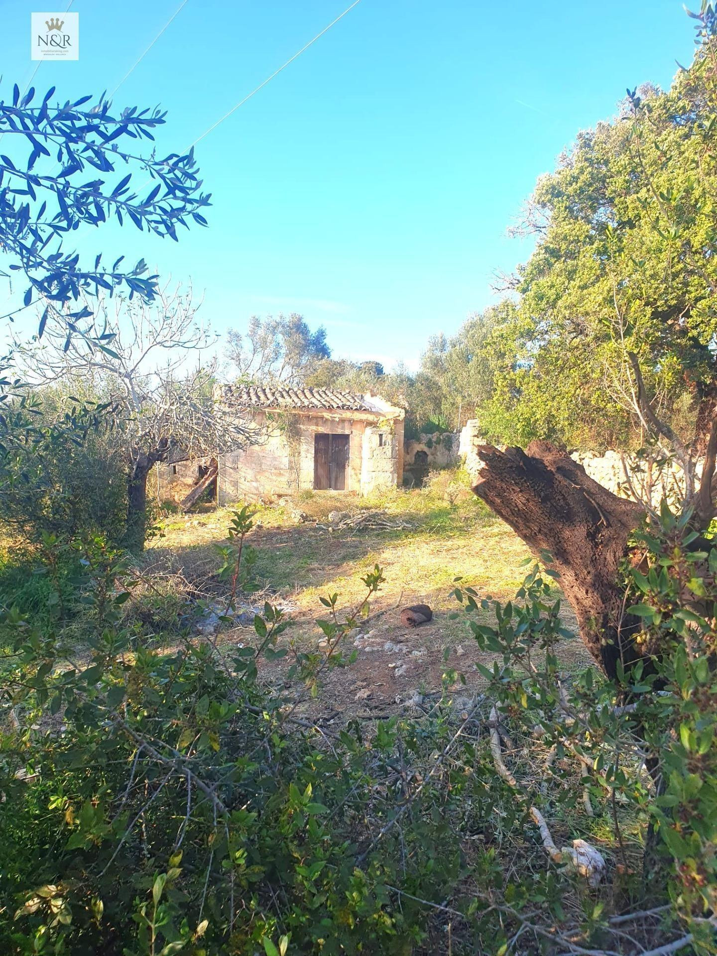 FINCA EDIFICABLE SENCELLES