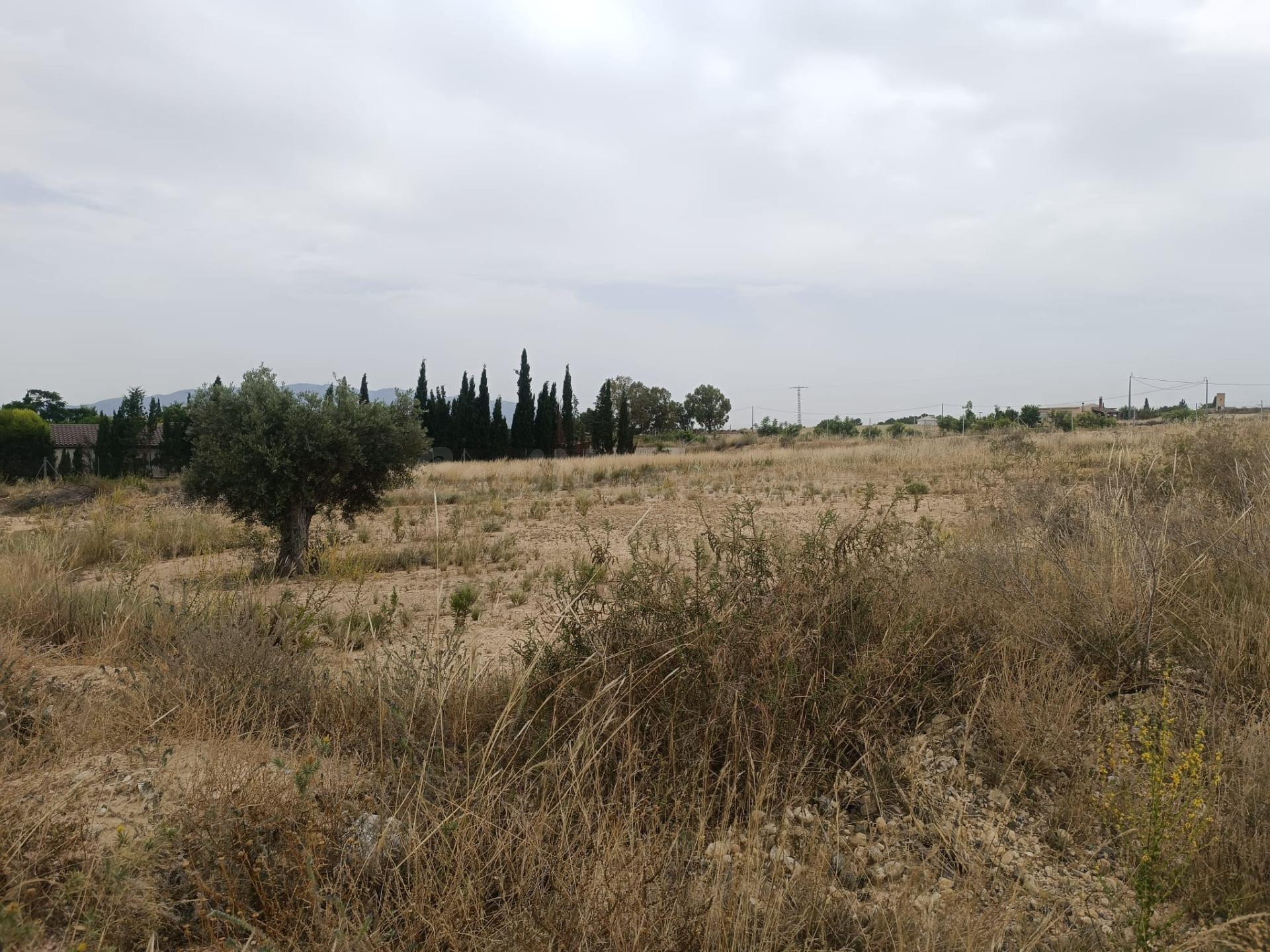 Terreno rural en venta - Sangonera la Seca