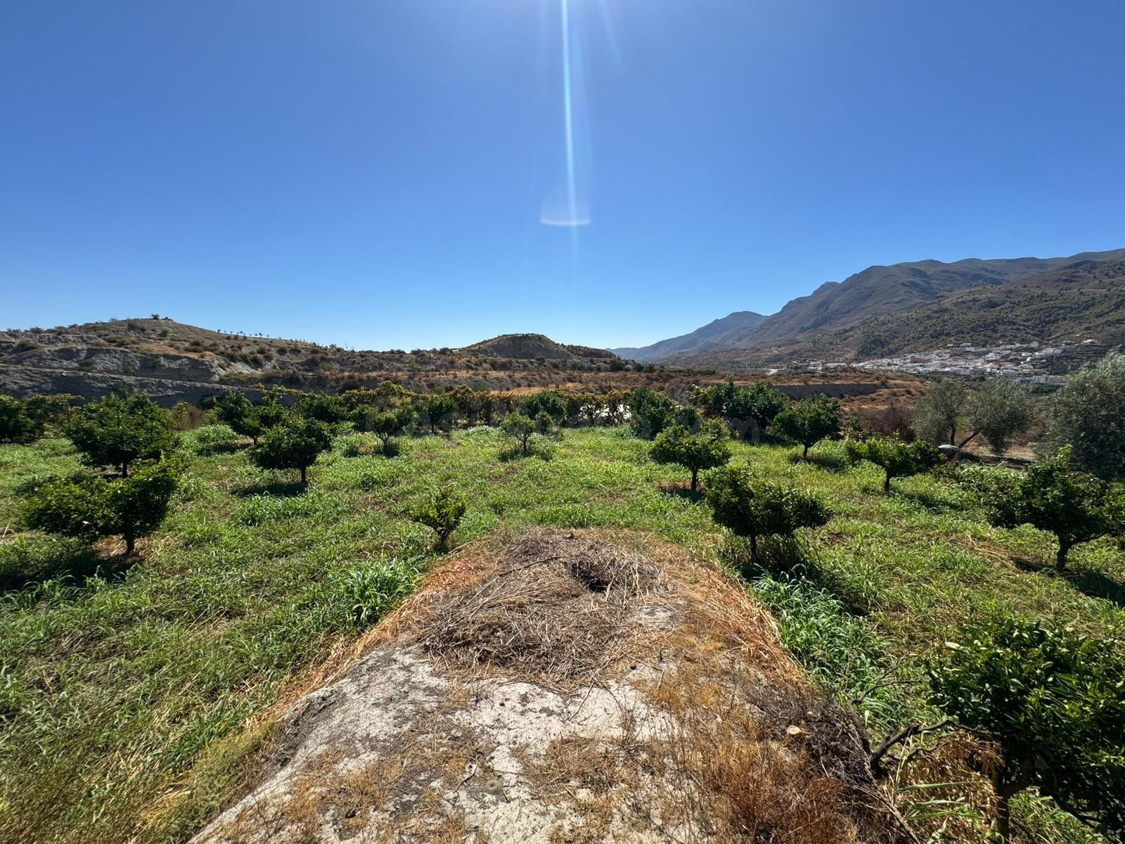 ¡Descubre tu oasis agrícola en plena naturaleza!