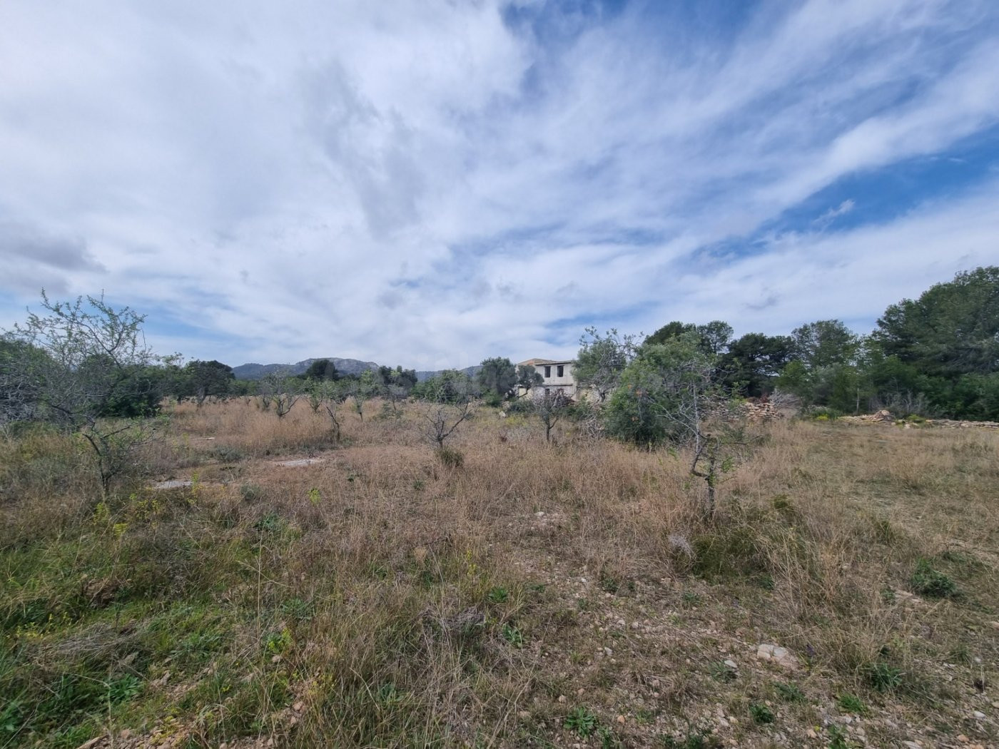 Finca Rústica con construcción de mas de 200m2 para reformar