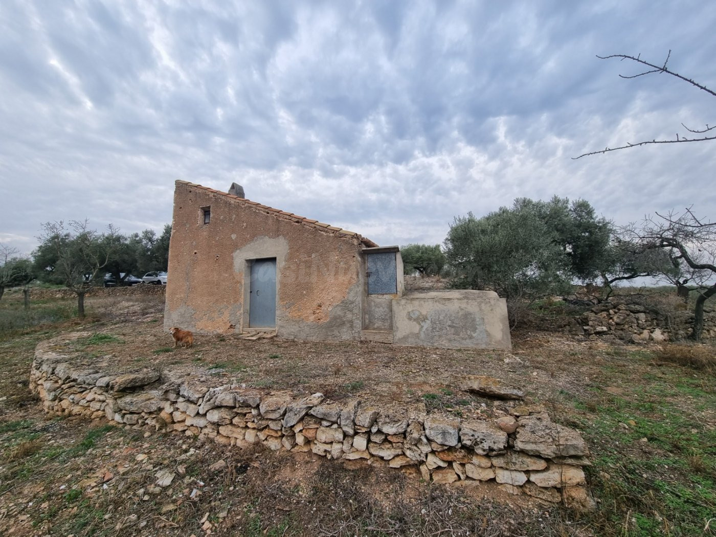 Económica Finca, con antigua caseta de campo de 25 M2 en El Perello
