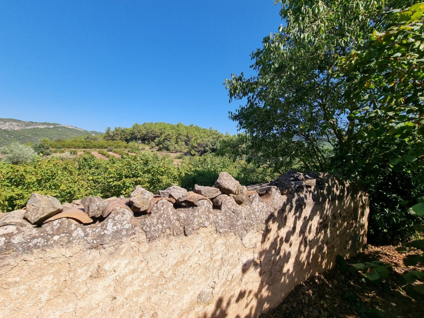 Fincas Rústicas en tivissa con construcción