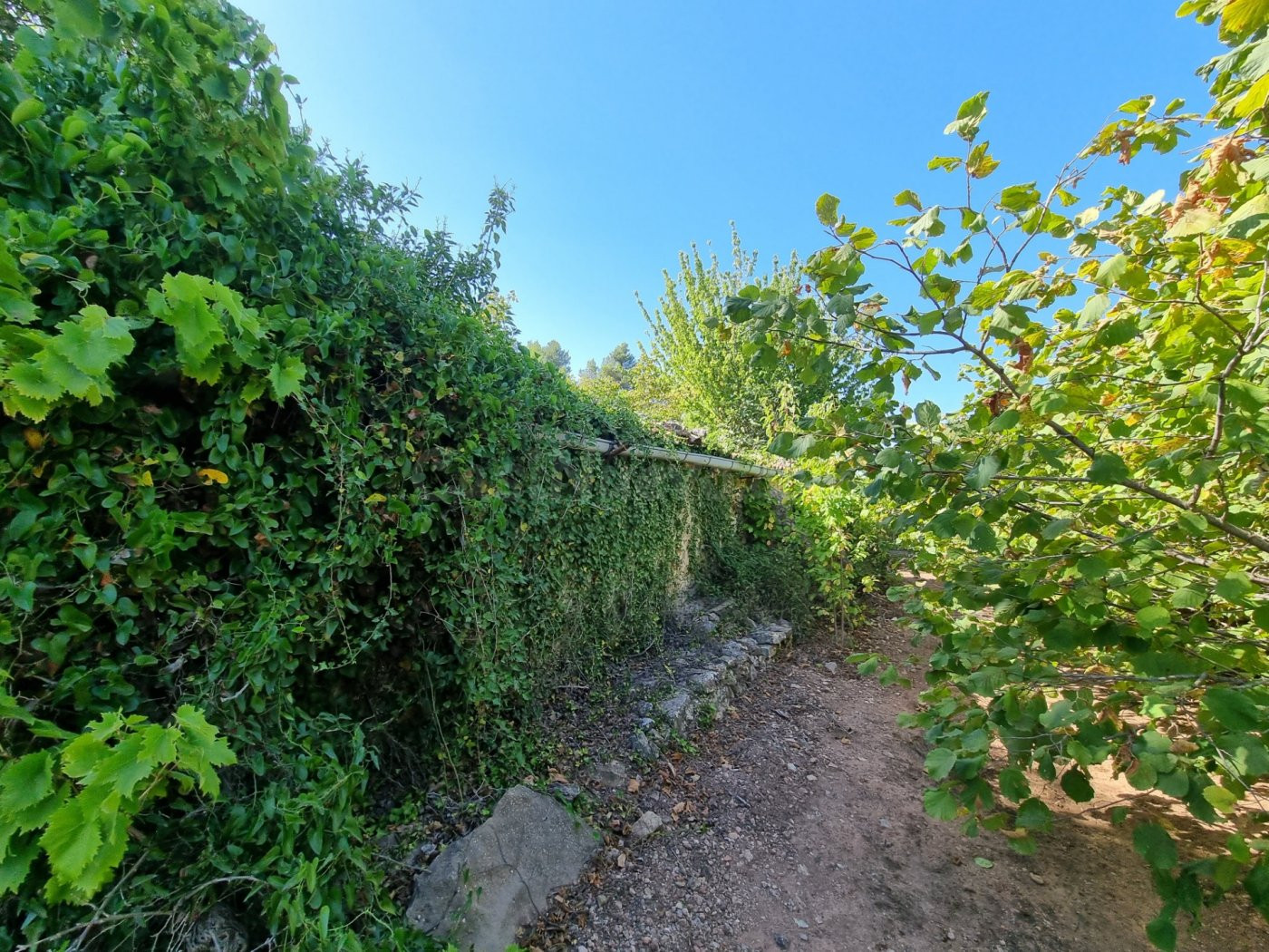 Fincas Rústicas en tivissa con construcción - foto 5