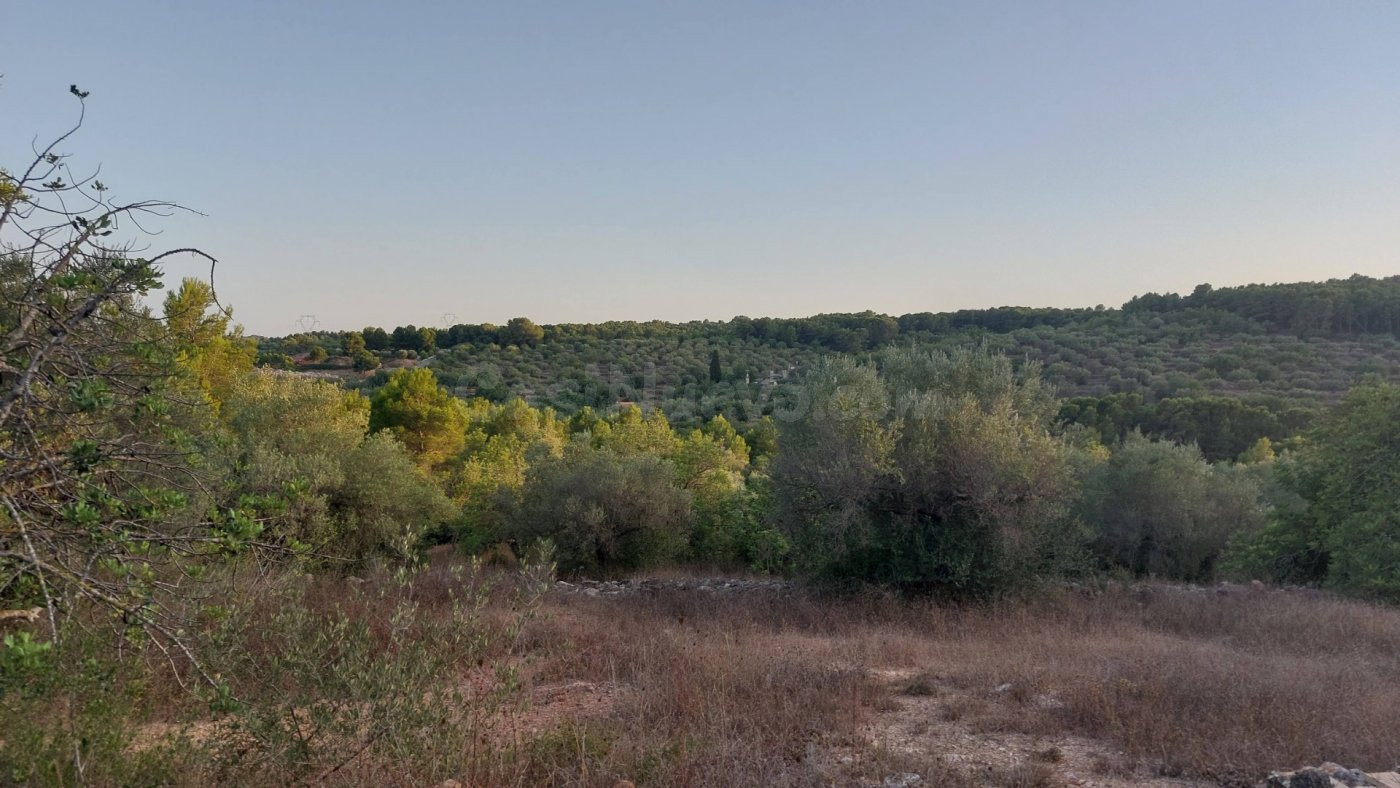 Finca Rústica en el Perello con muchas posibilidades