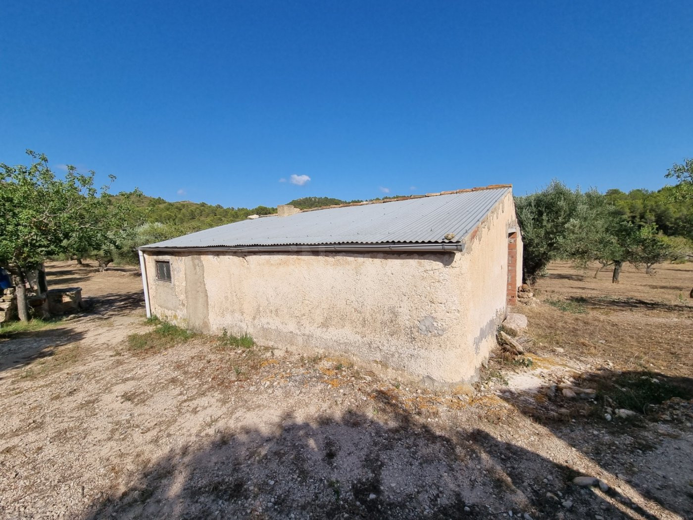 Tenemos en la zona de Tivissa un Almacen con muchas posibili - foto 3