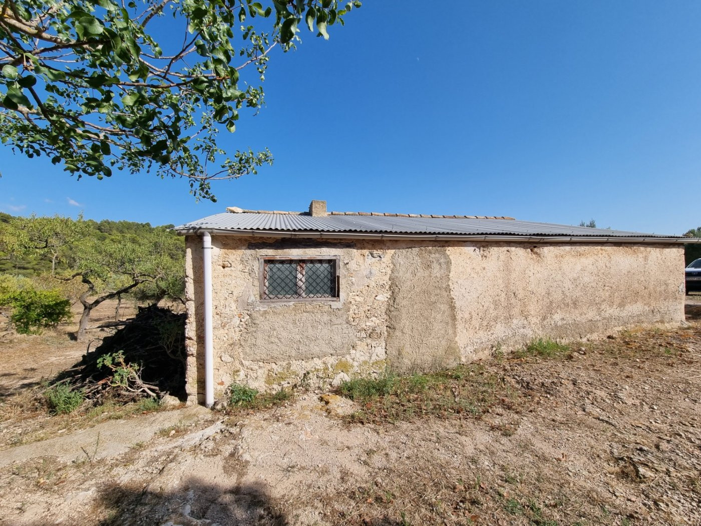 Tenemos en la zona de Tivissa un Almacen con muchas posibili - foto 4