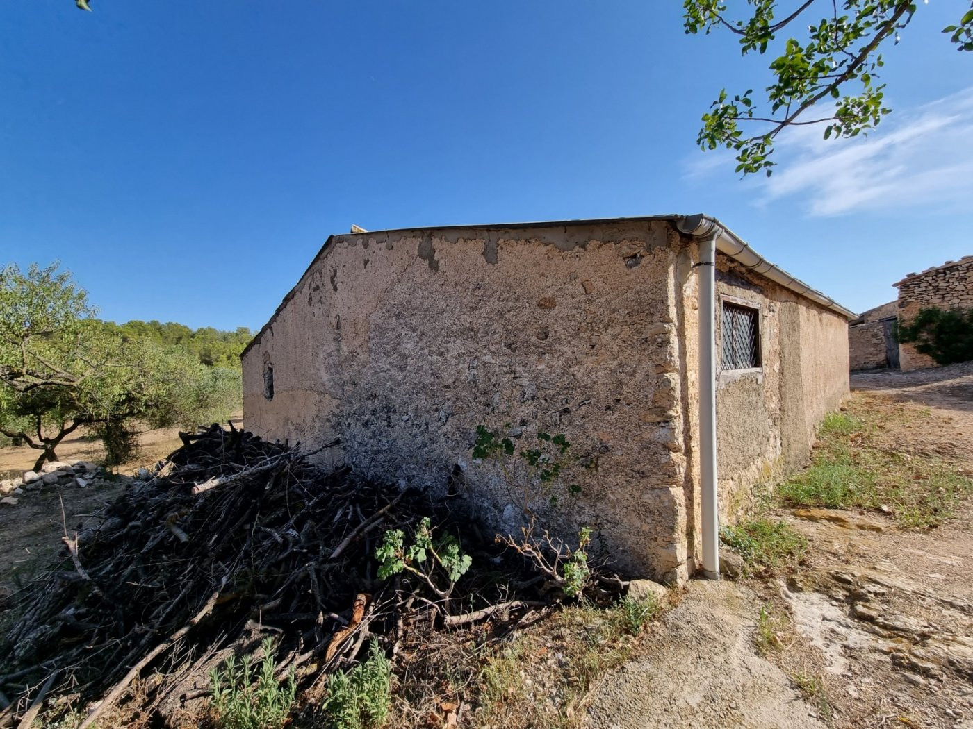 Tenemos en la zona de Tivissa un Almacen con muchas posibili - foto 5