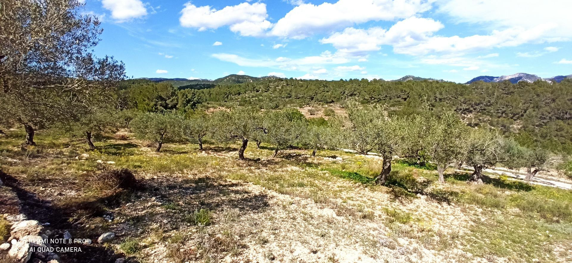 Preciosa finca reformada auténtica en Tivissa, cerca de las  - foto 4