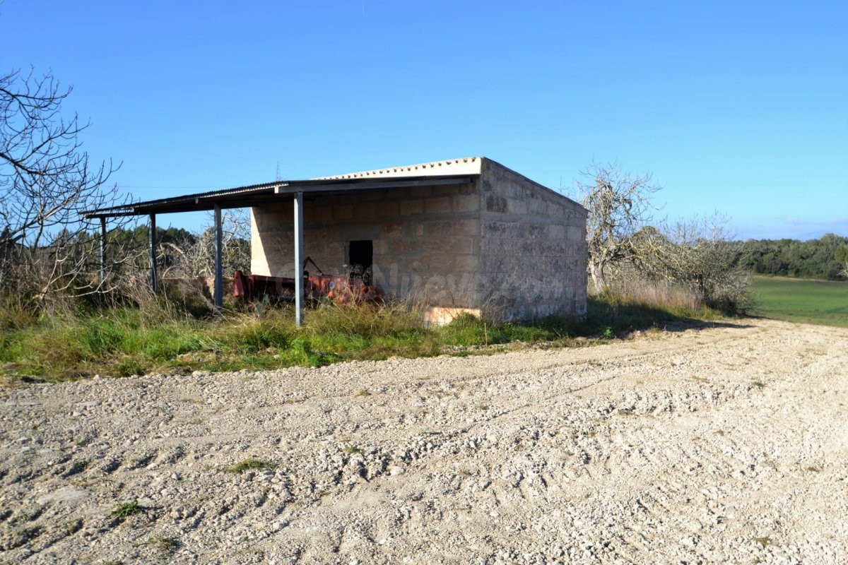 Terreno edificable en Llubi.