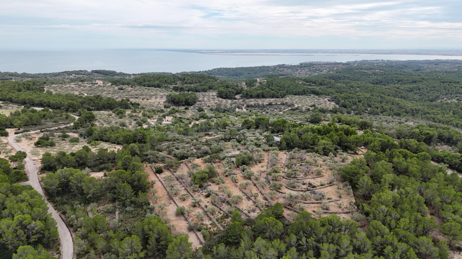 Casa Rústica en El Perelló - Un Refugio Natural con Encanto Mediterráneo