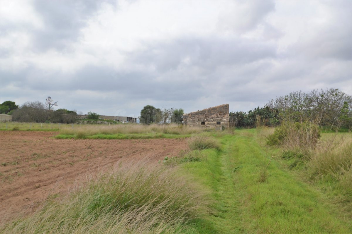 Casa de campo para reformar en Muro.