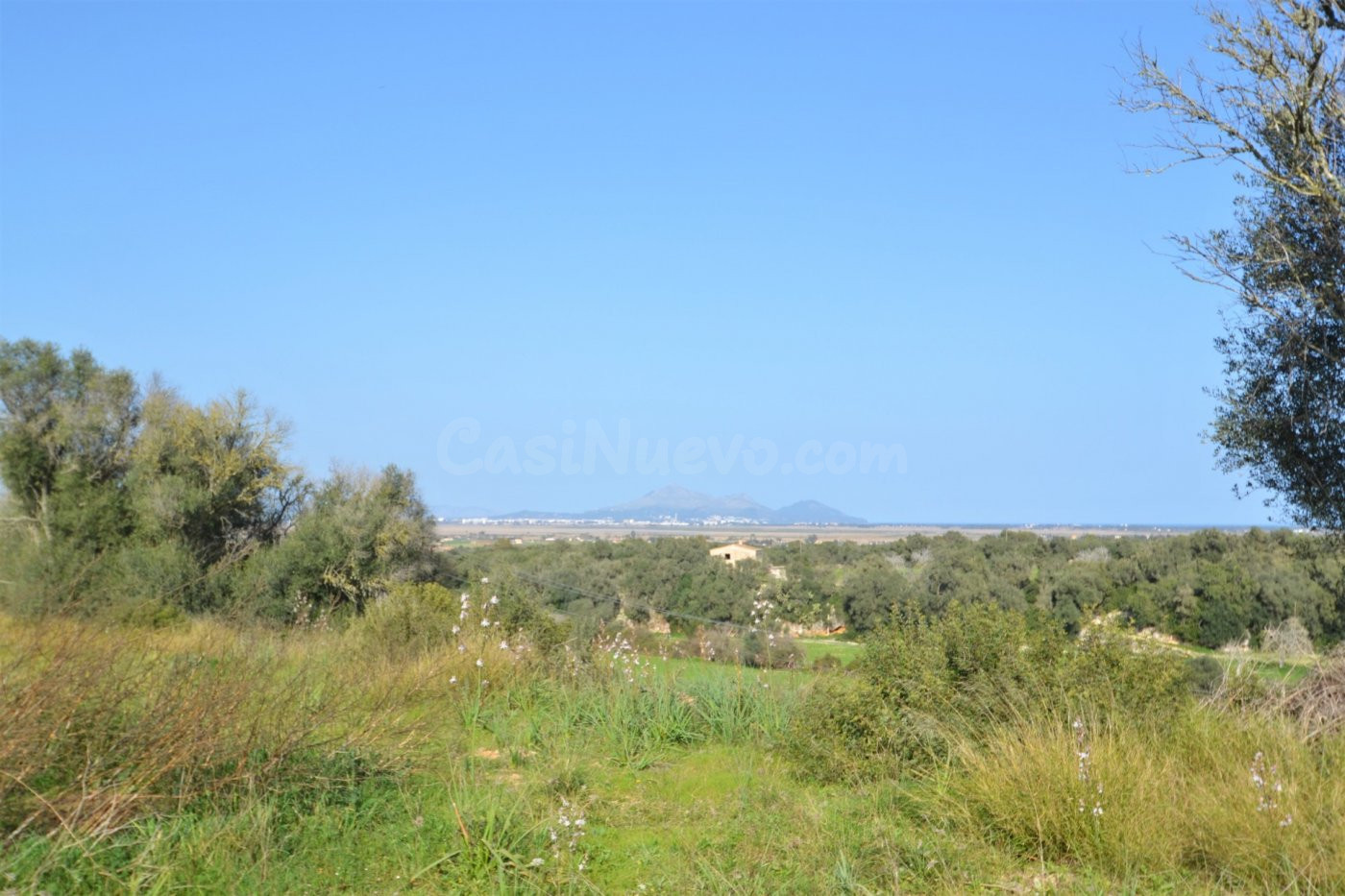 Finca en suelo rústico general, en venta en Muro con increíbles vistas a la Bahía de Alcudia