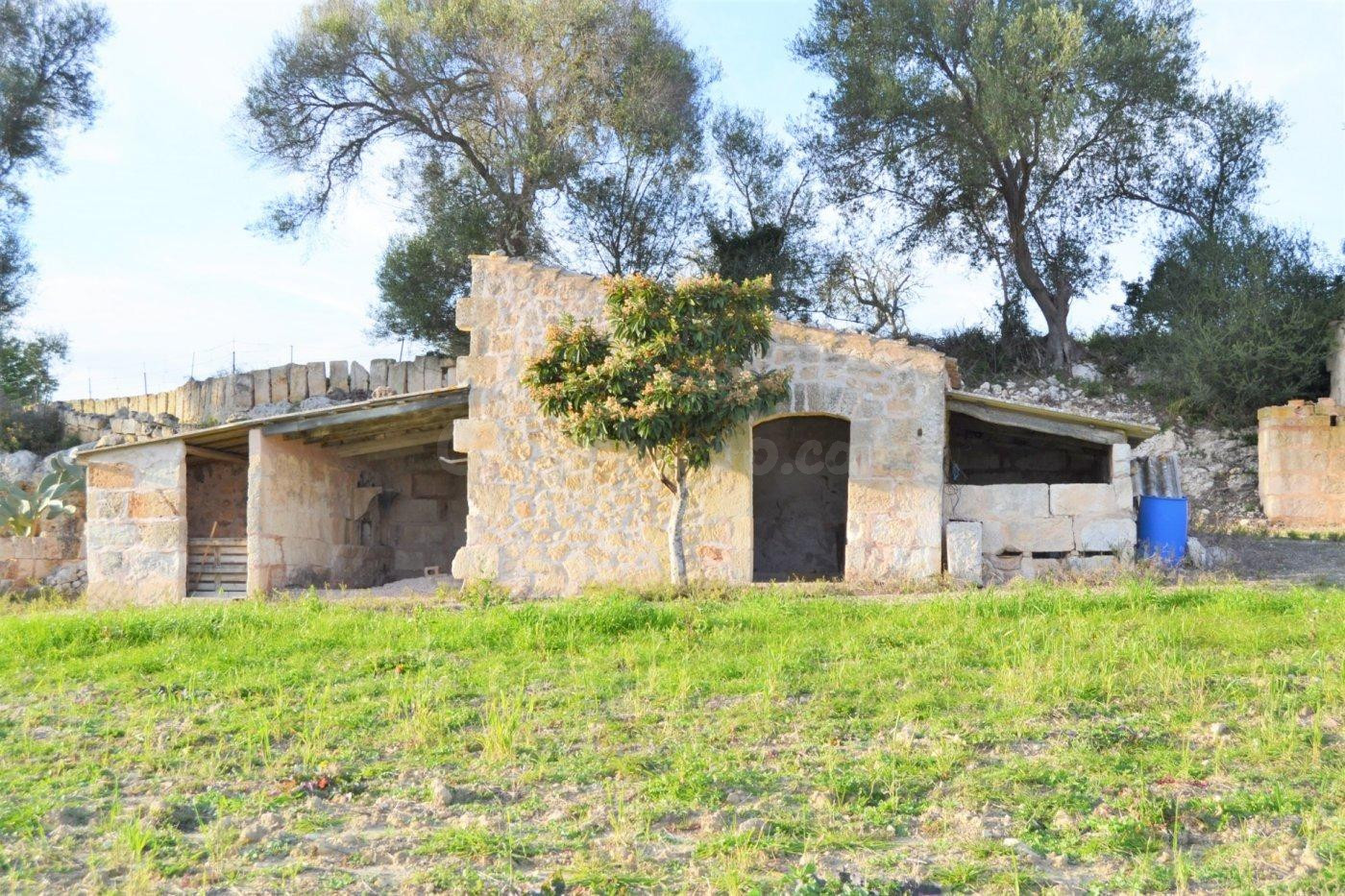 Finca rústica en venta con posibilidad de vivienda en Muro