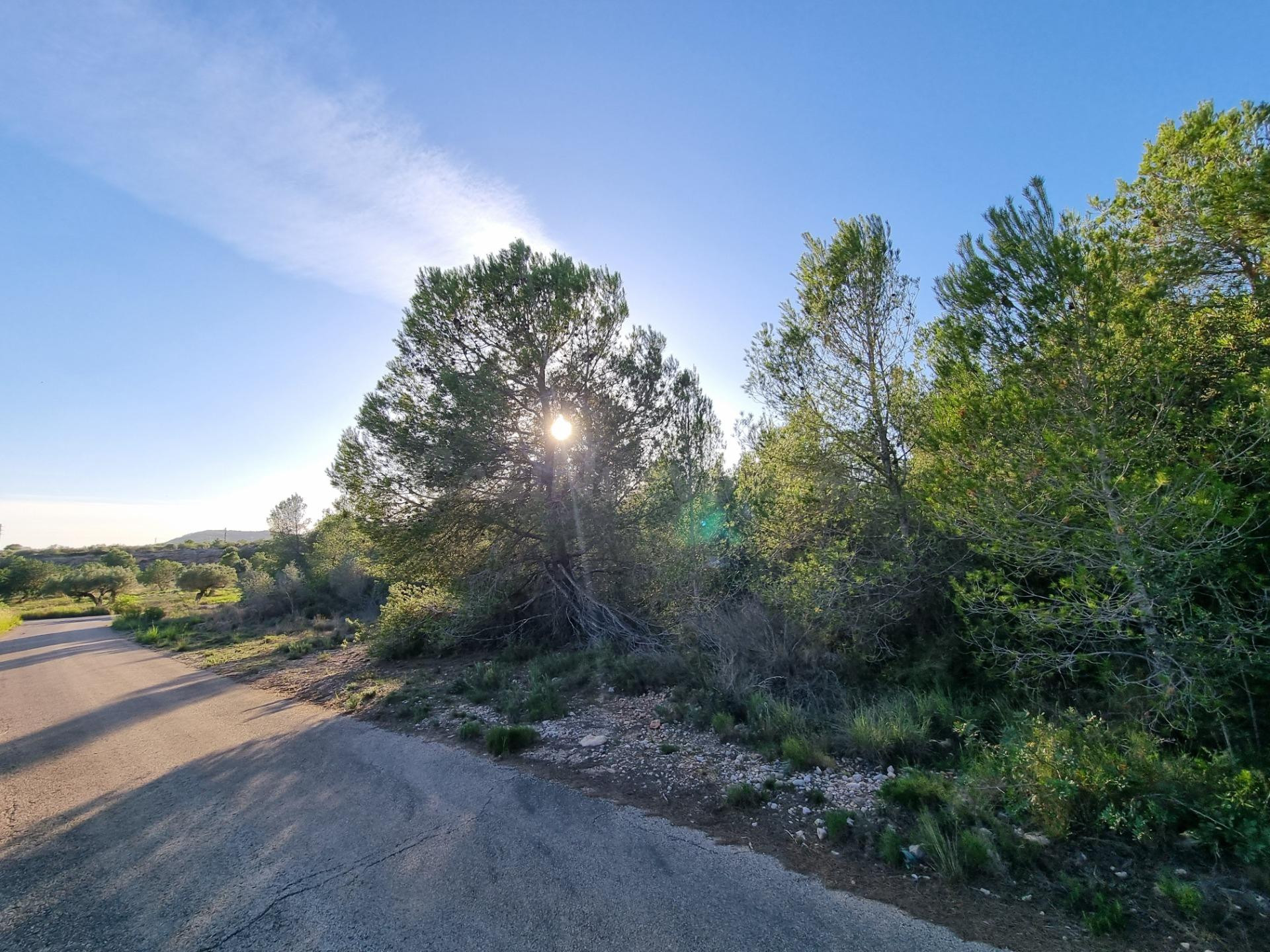 Terreno Rústico de 28.454m2 en Venta en L’Ametlla de Mar