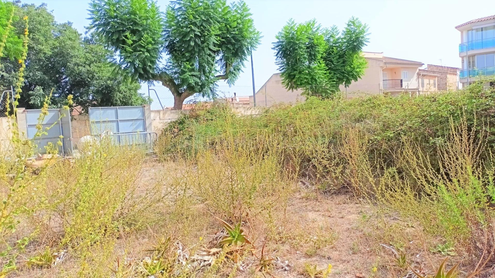Solar al lado del polideportivo en Muro