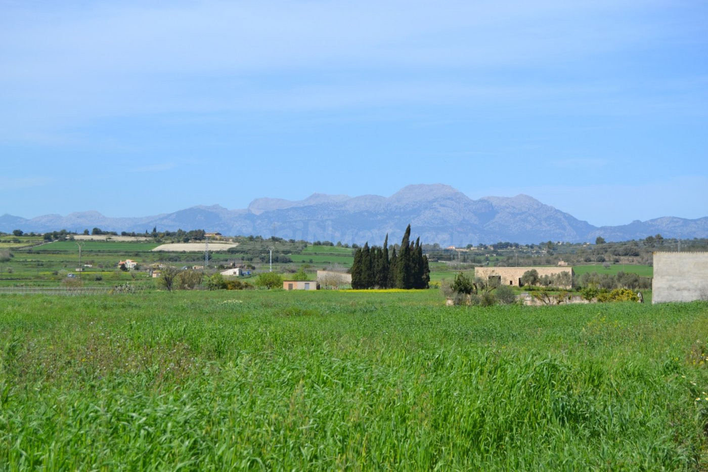 Finca rústica en venta en Santa Margalida.