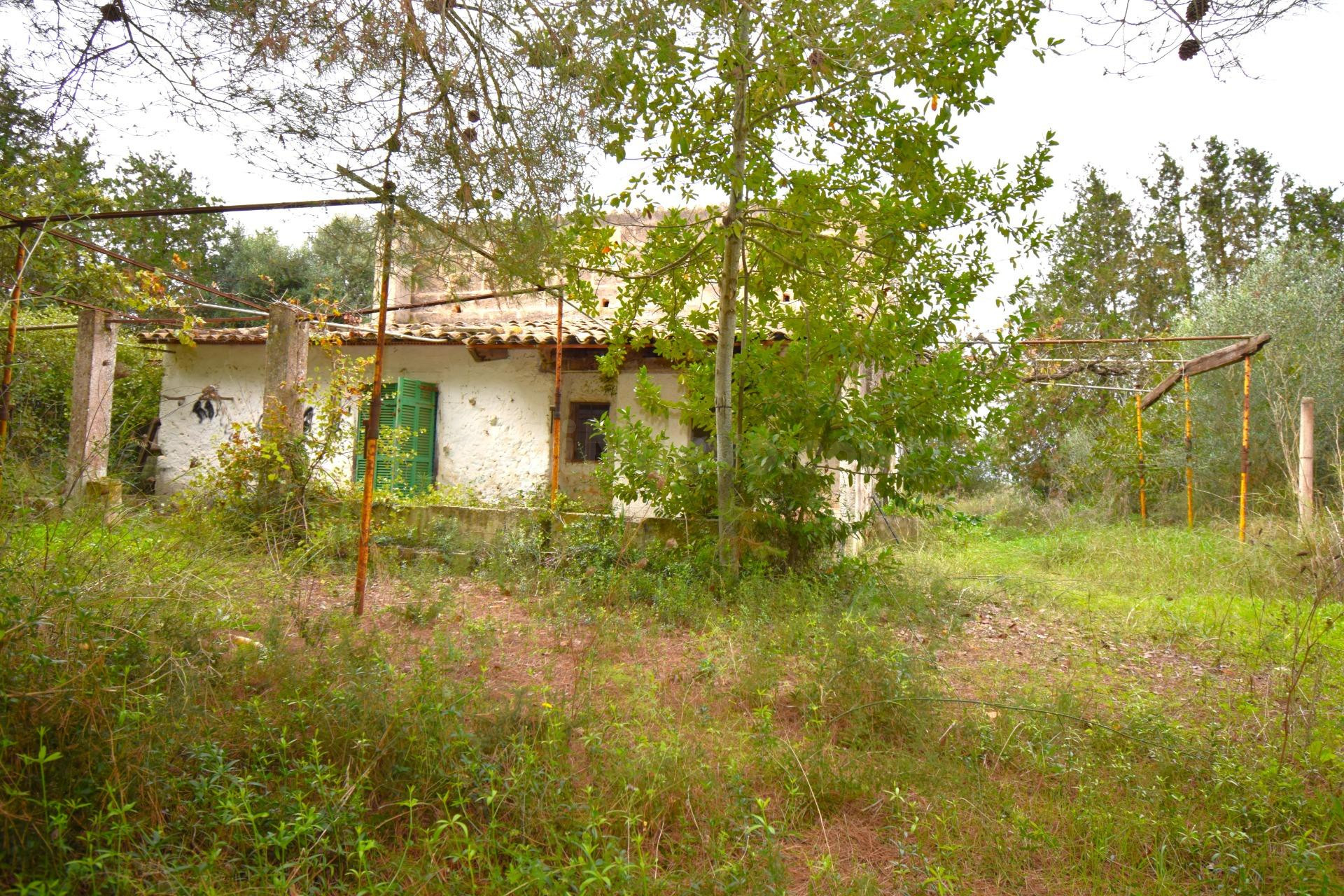 Finca rústica con casa de campo  y espectaculares vistas a la Tramuntana  en Muro