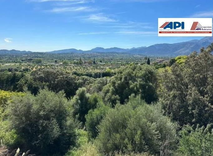 Terreno en venta con unas vistas espectaculares a la Serra de Tramuntana  en  Campanet