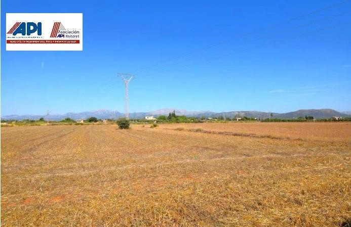 Finca rústica con posibilidad de vivienda en  Muro