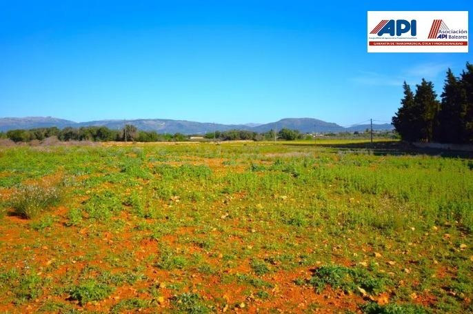 Finca rústica con posibilidad de vivienda en Muro