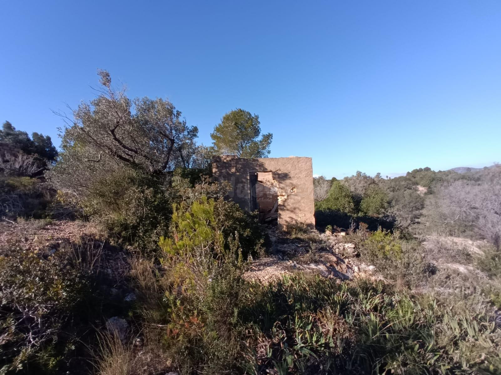Finca rústica en venta en L’Ametlla de Mar – Gran parcela con múltiples posibilidades