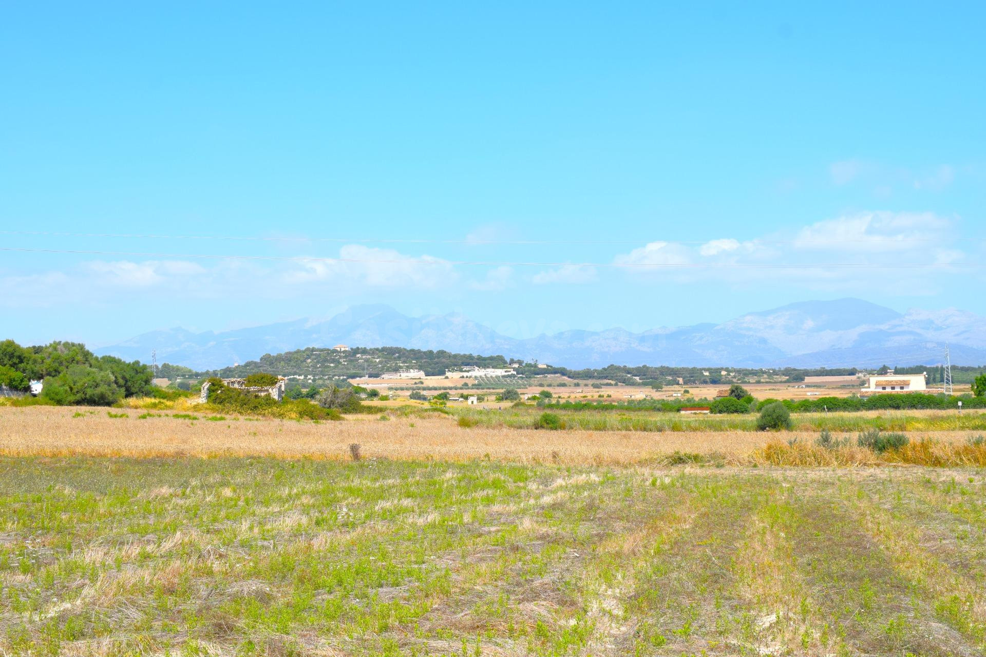 Finca rústica con posibilidad de construir una vivienda en Santa Margarita