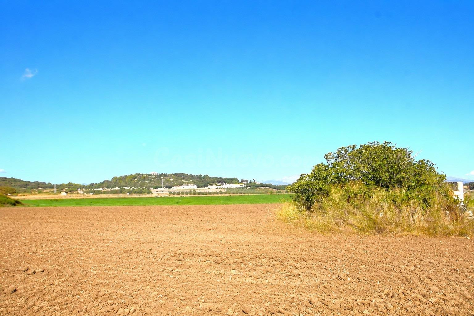 Finca rústica con vistas a la Serra de Tramuntana en Muro