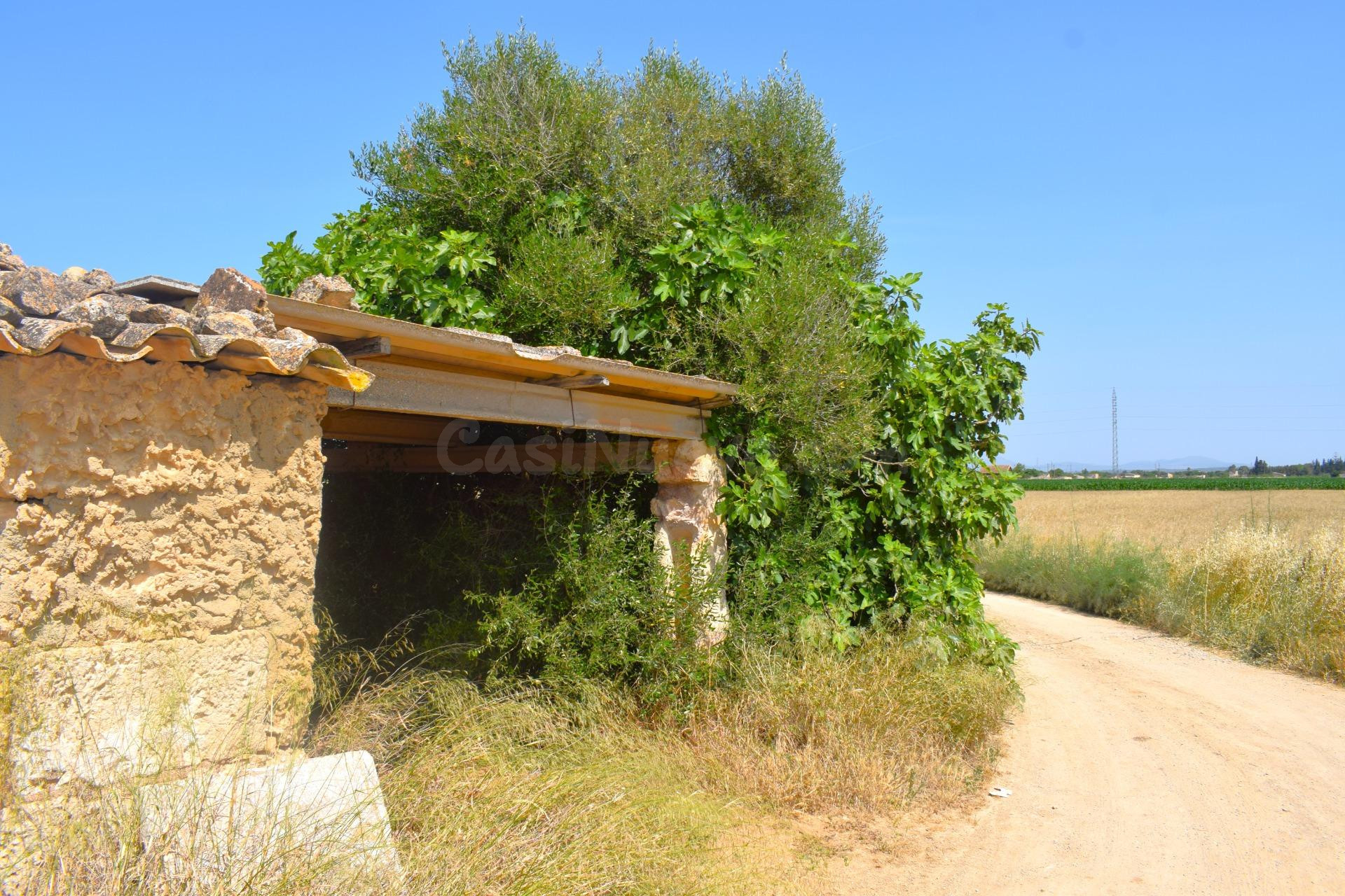 Finca rústica con construcciones, pozo propio y vistas a la Serra de Tramuntana en Sa Pobla
