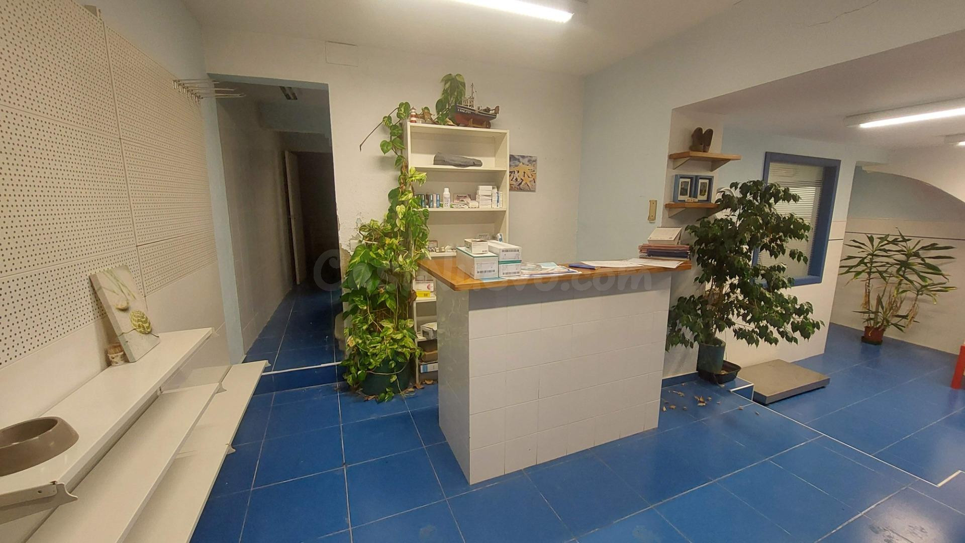 Centro veterinario en alquiler en pleno centro de L’Ametlla de Mar – oportunidad única para iniciar tu negocio