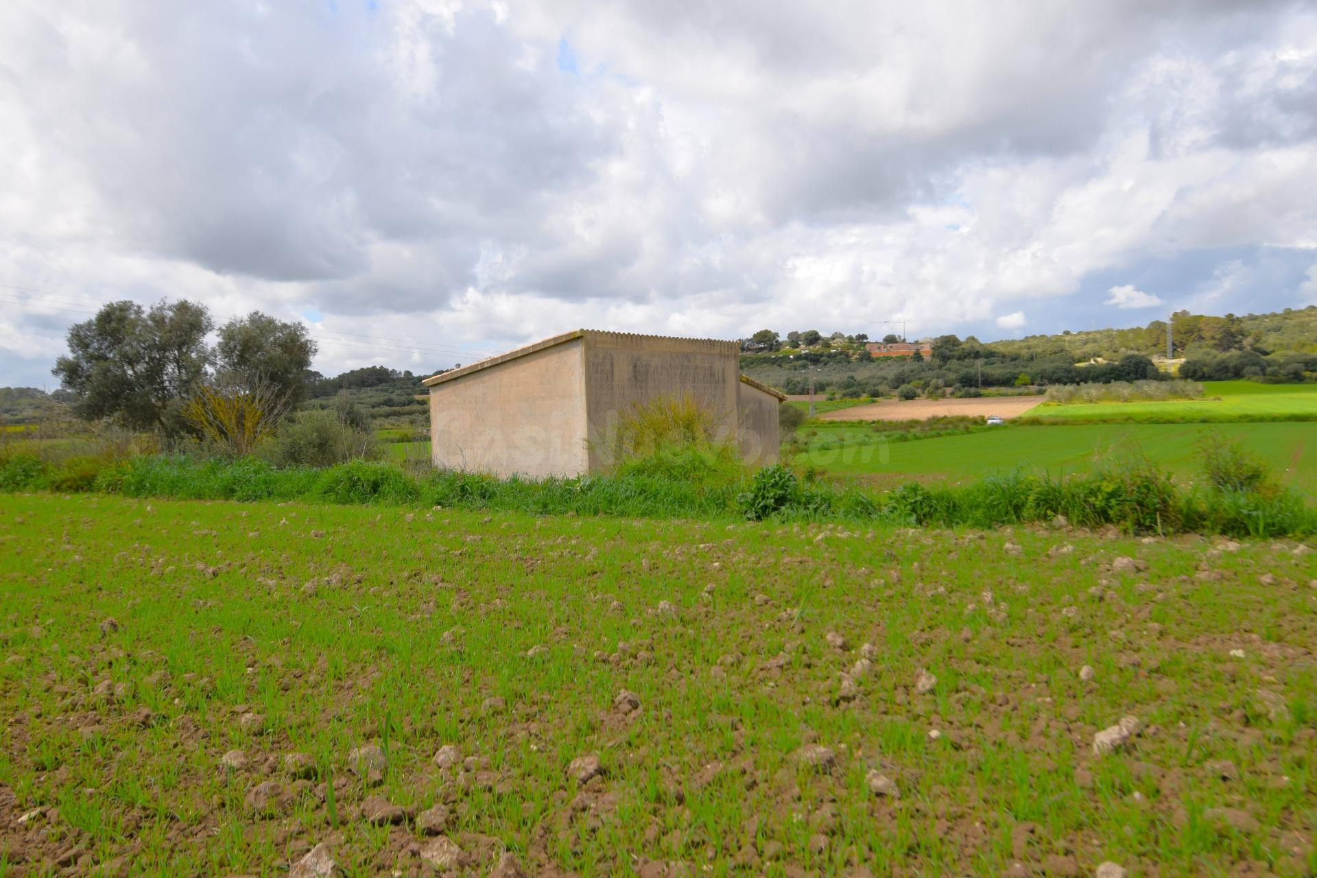 Finca rústica con posibilidad de vivienda en Muro