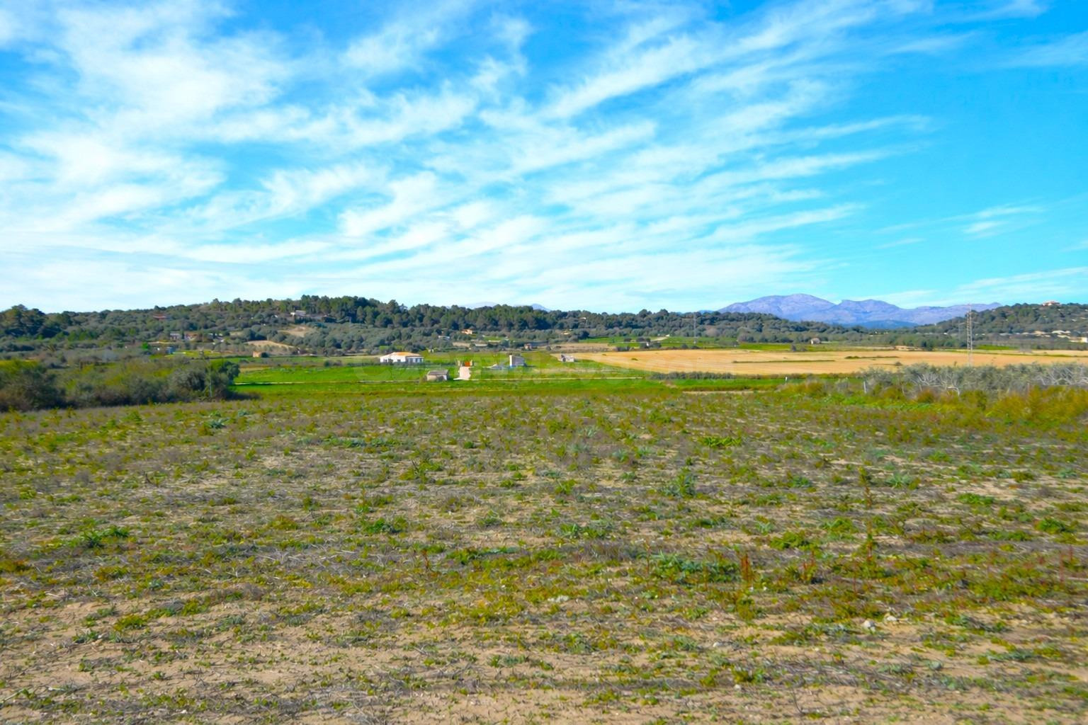 Finca rústica con posibilidad de construir una vivienda en Muro.