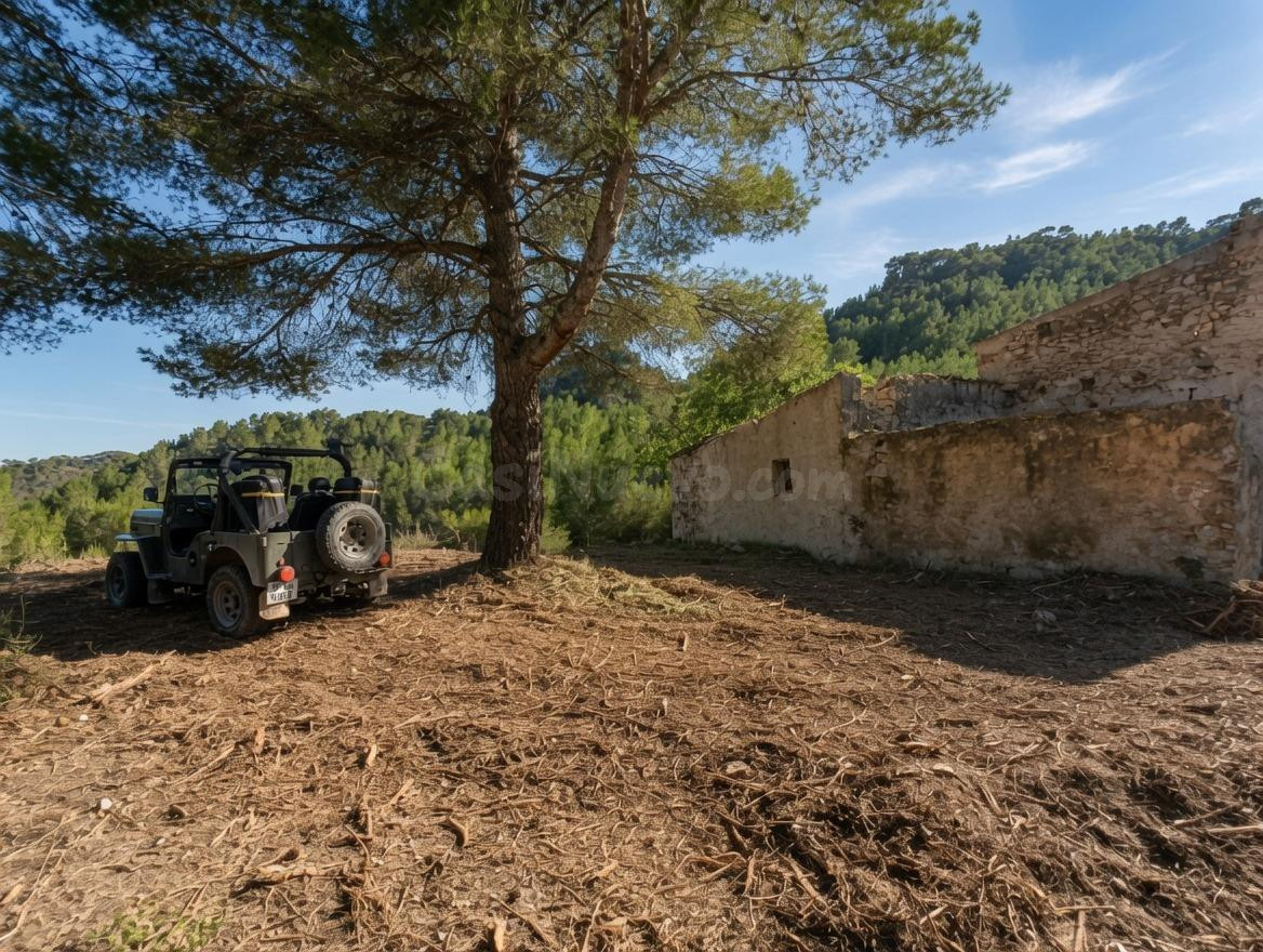 Tu refugio en plena naturaleza: finca de 45 hectáreas + Jeep