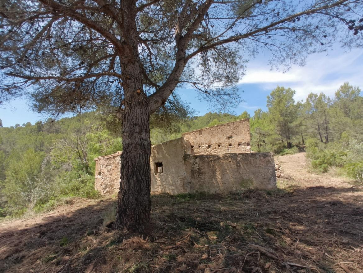 Tu refugio en plena naturaleza: finca de 45 hectáreas + Jeep - foto 2