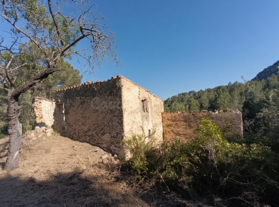 Tu refugio en plena naturaleza: finca de 45 hectáreas + Jeep - foto 3