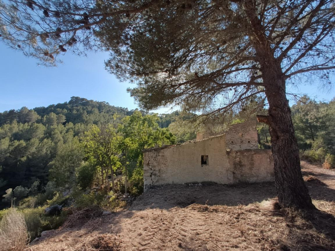 Tu refugio en plena naturaleza: finca de 45 hectáreas + Jeep - foto 4