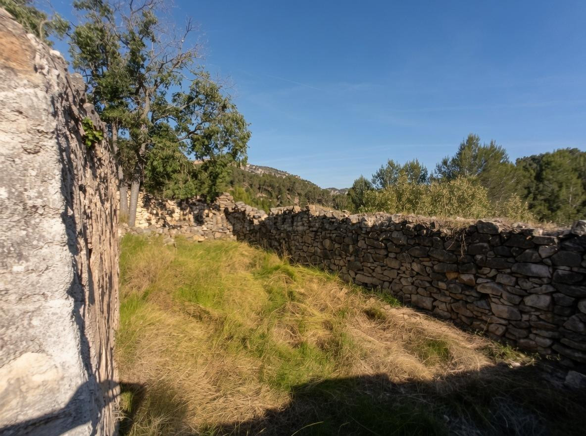 Tu refugio en plena naturaleza: finca de 45 hectáreas + Jeep - foto 5