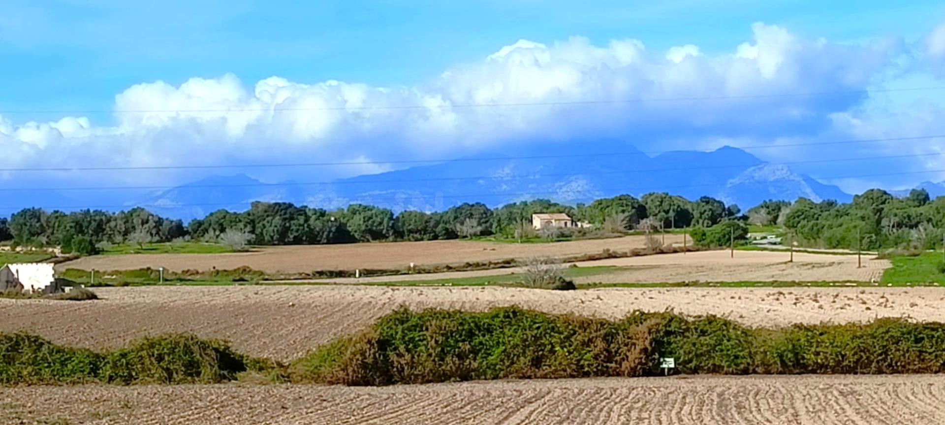 Finca rústica  con vistas a la Serra de Tramuntana  en Muro