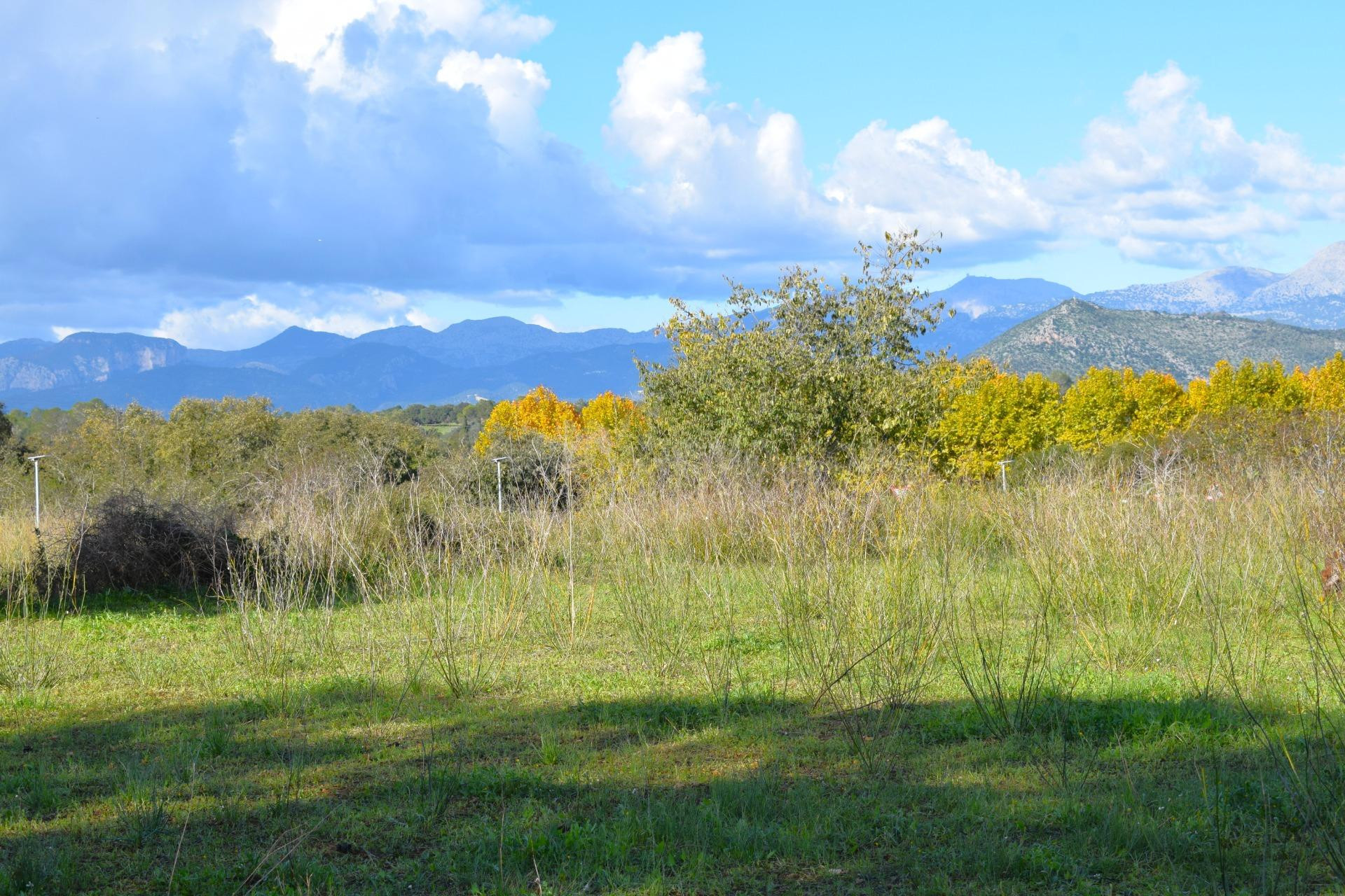 Solares  con hermosas  vistas a la Serra de Tramuntana en Llubi