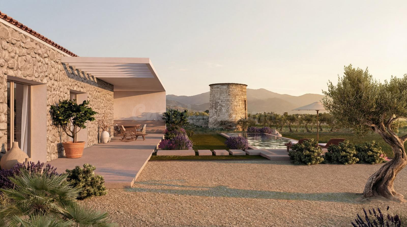 Finca rústica con proyecto  básico para vivienda con piscina en Sa Pobla