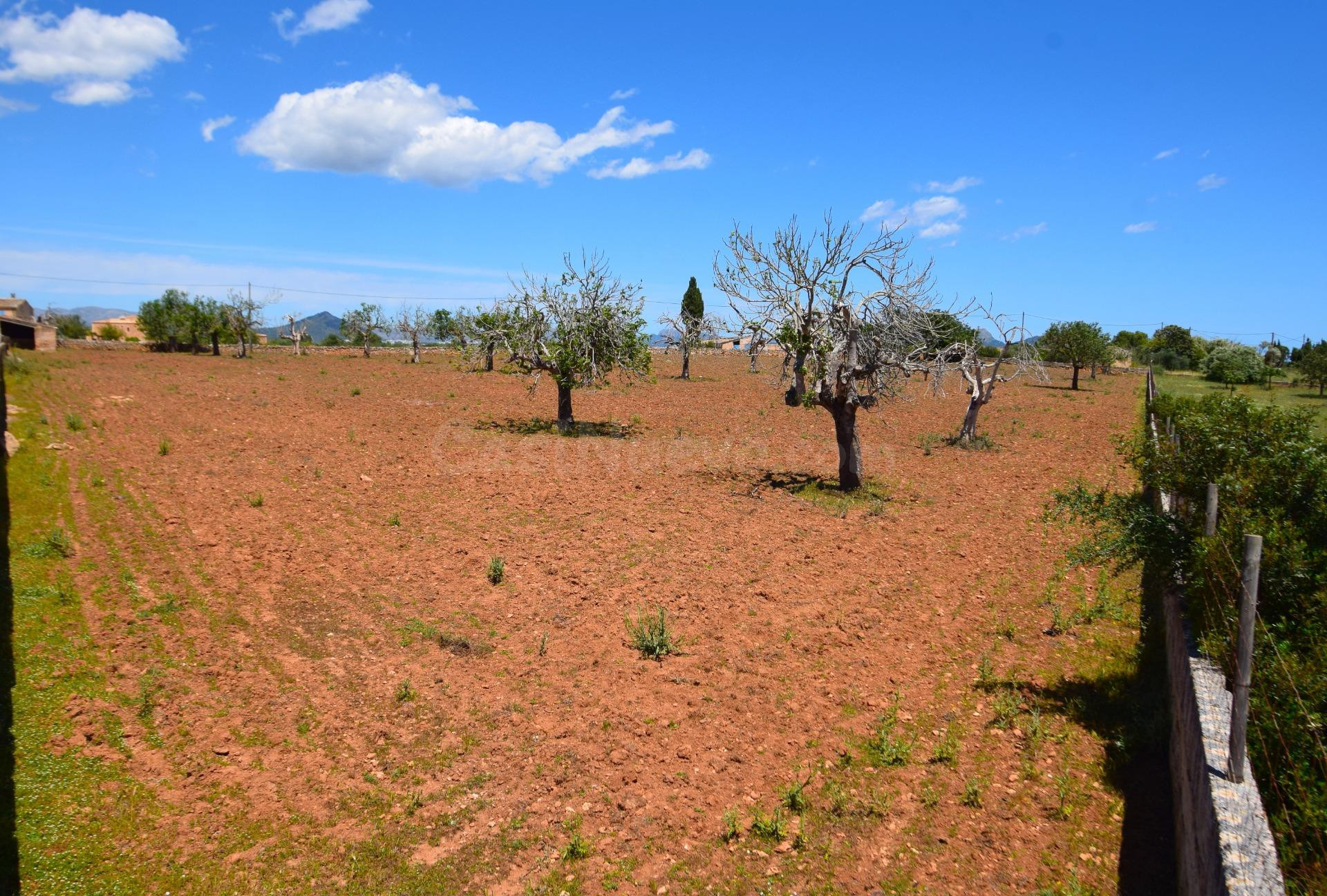 Finca rústica en Santa Margarita
