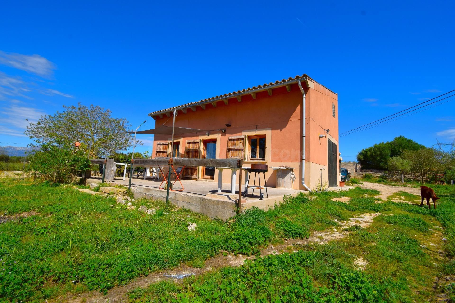 Finca rústica con vivienda en Muro