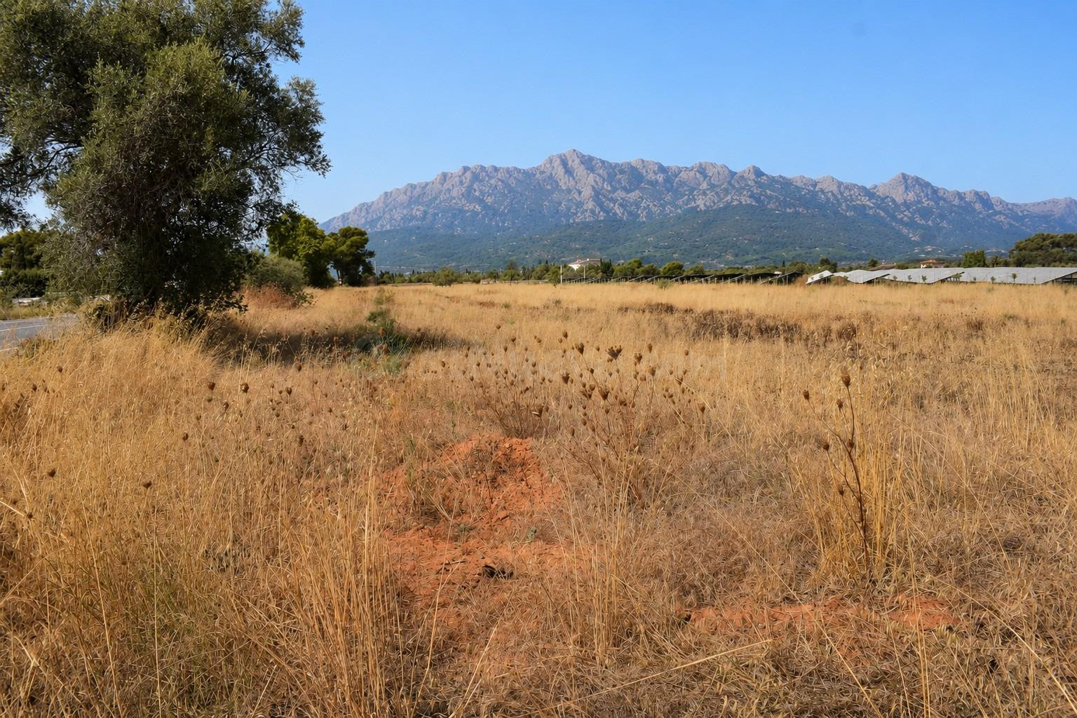Finca rústica con  posibilidad de vivienda en Santa Maria de Camí