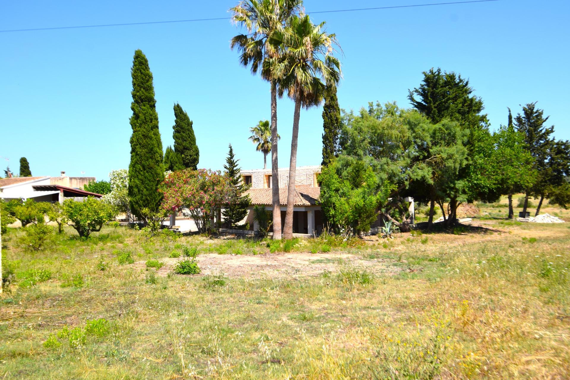 Finca con casa de piedra en Santa Margarita