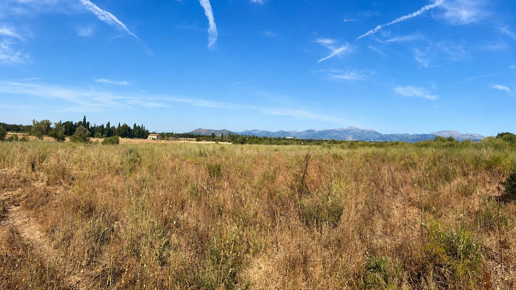 Finca rústica  con posibilidad de construir una vivienda en Muro