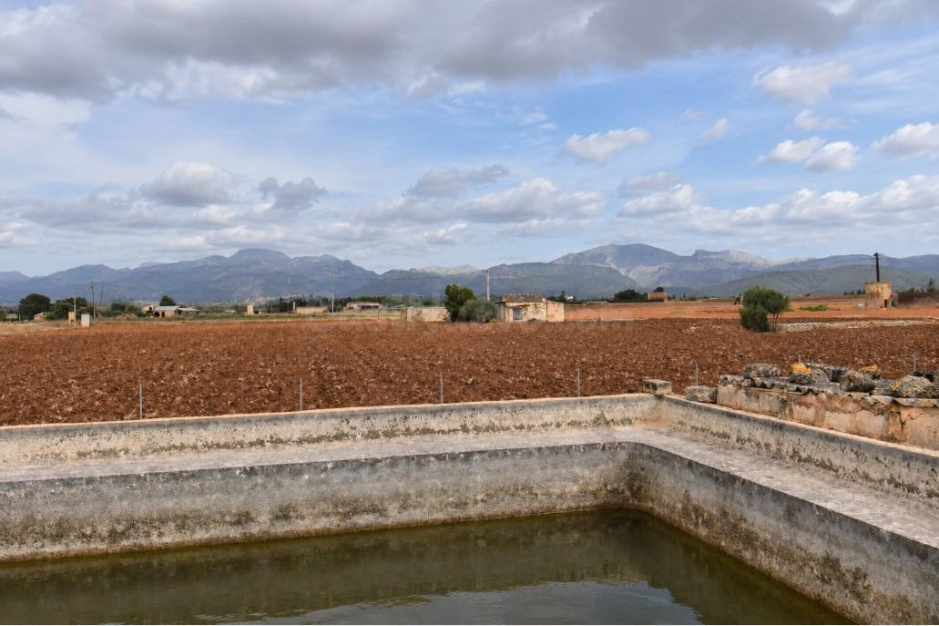 Finca rústica con posibilidad de vivienda en Muro