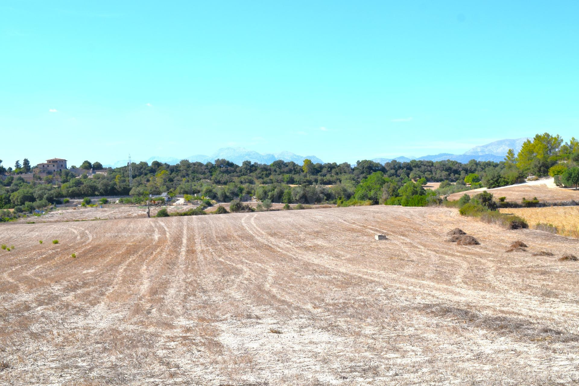 Finca rústica con posibilidad de vivienda en Llubi
