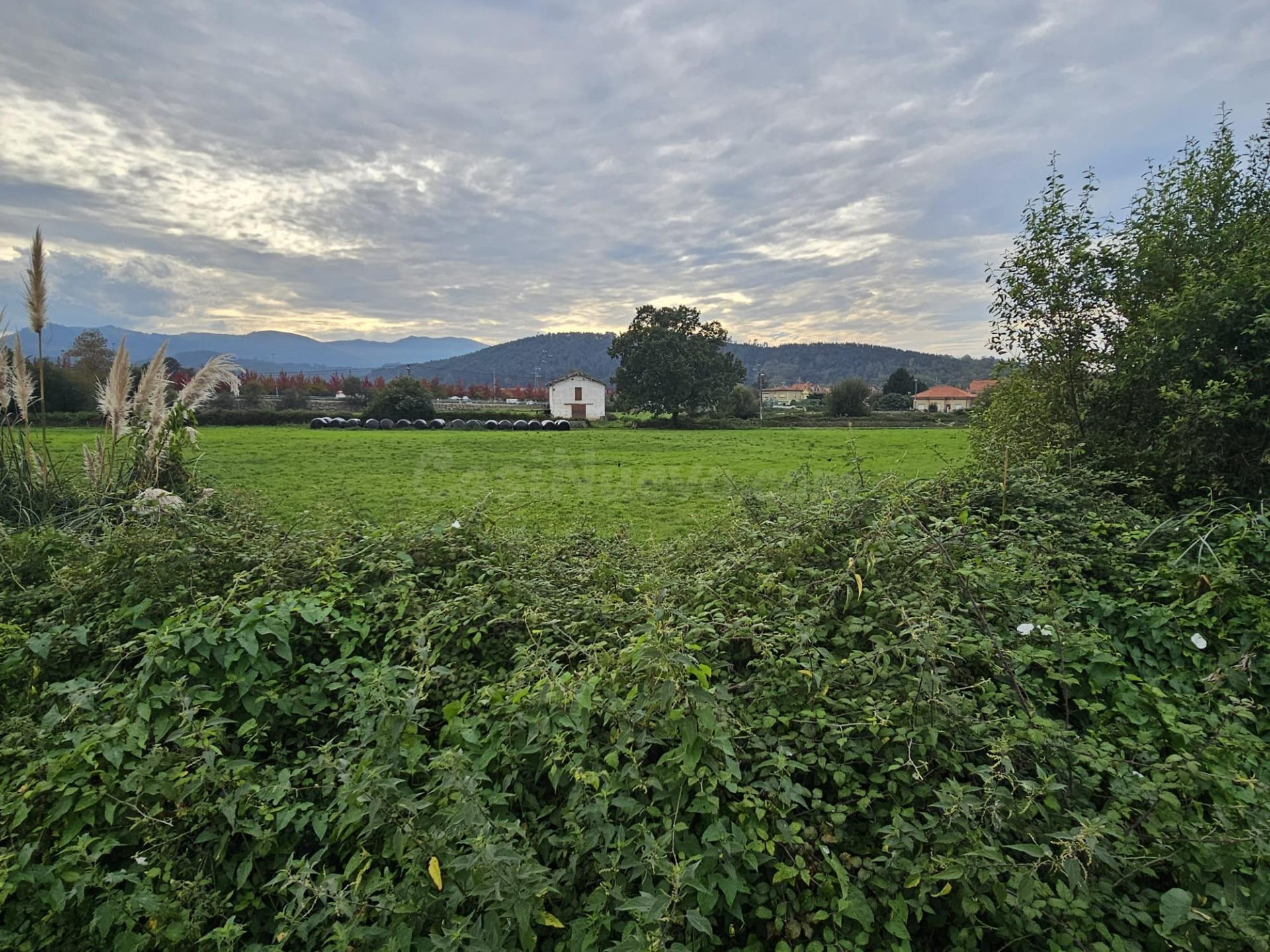 Terreno rural en venta - Tanos