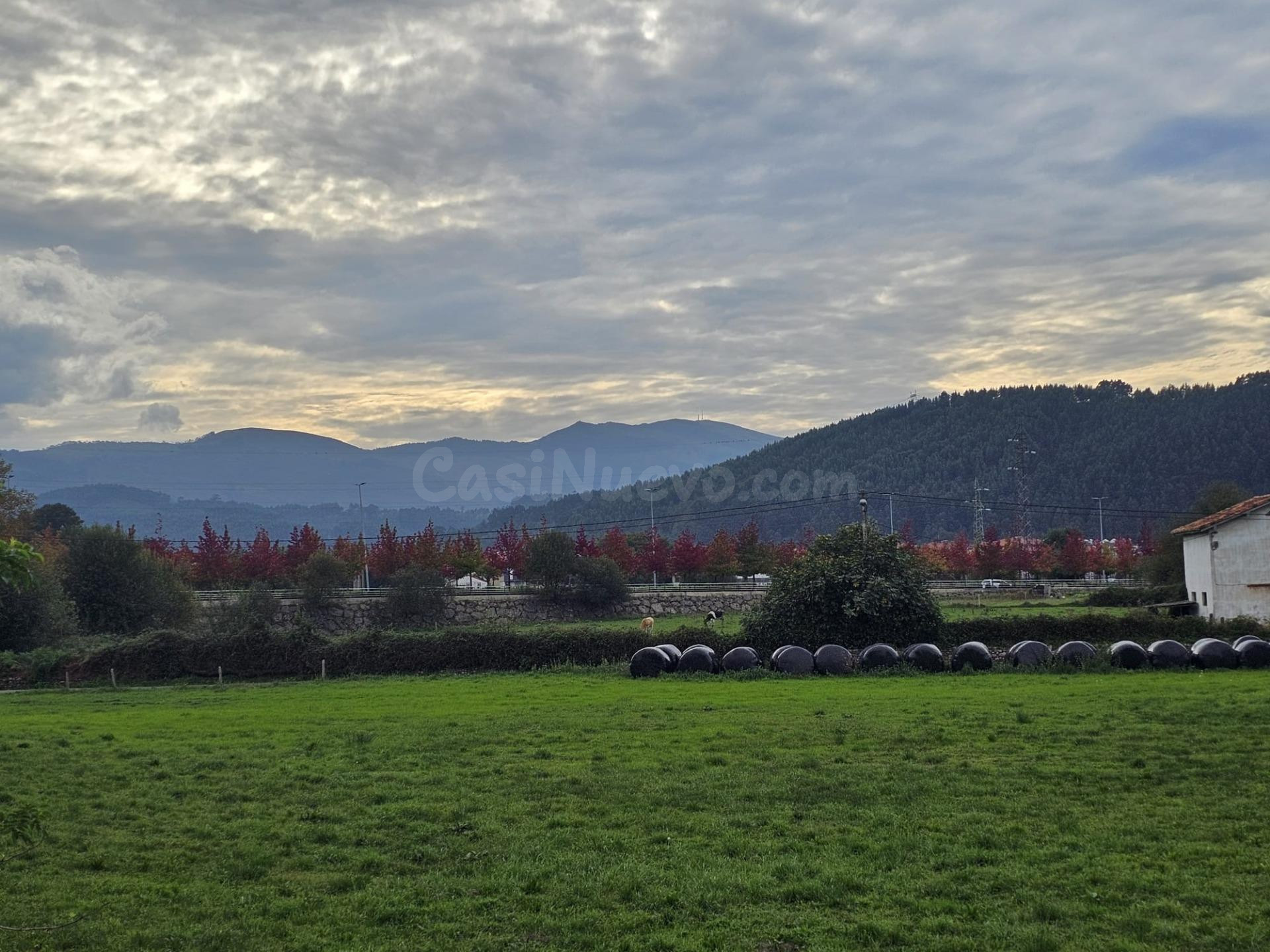 Terreno rural en venta - Tanos - foto 2