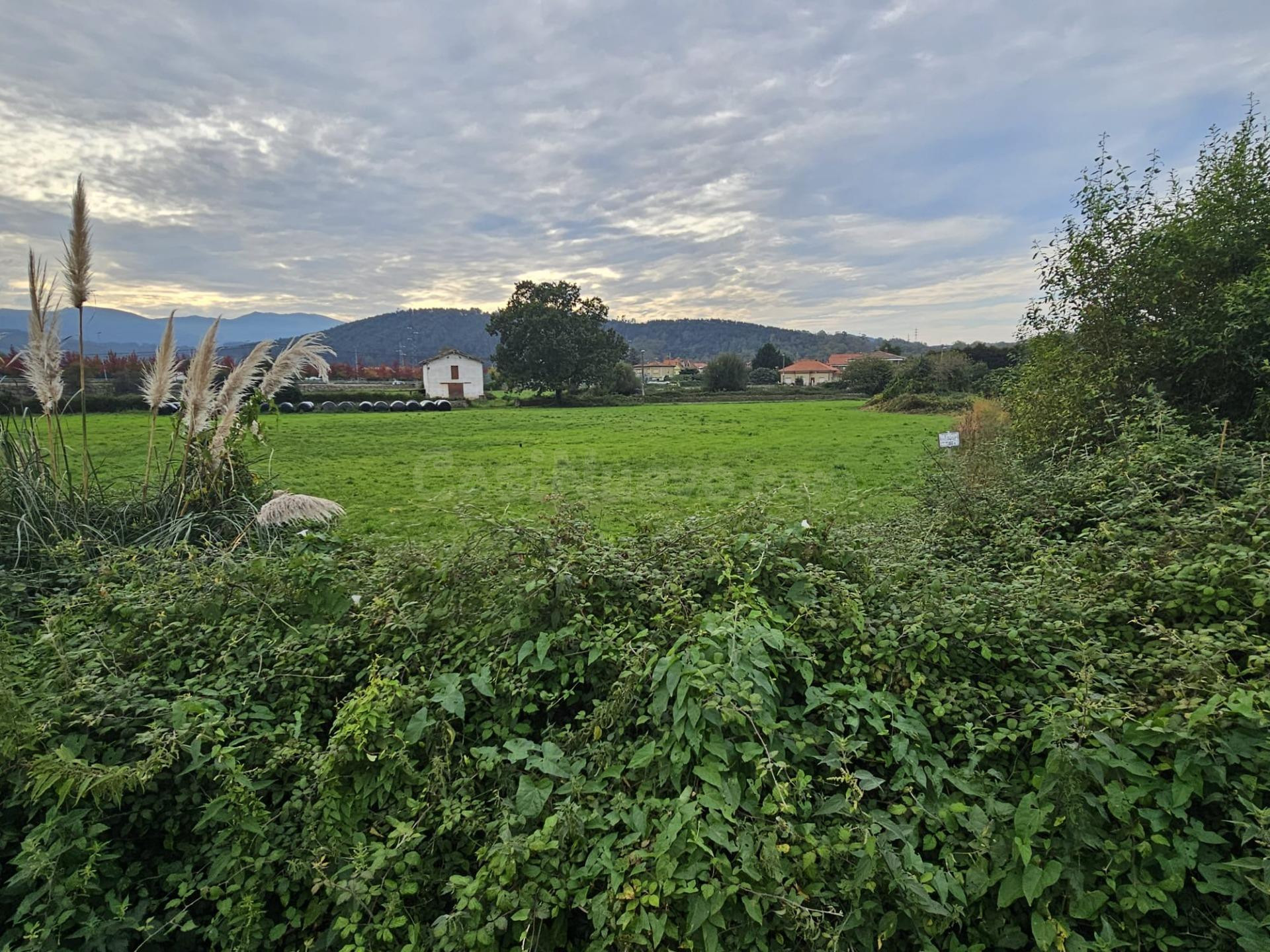 Terreno rural en venta - Tanos - foto 3